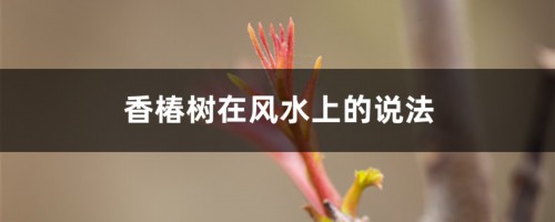 香椿树在风水上的说法，栽在什么位置好